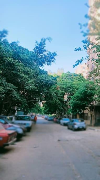 شارع نور الدين من شارع ١٥٥ المعادي امام المطافي